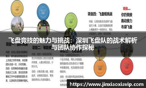 球信网