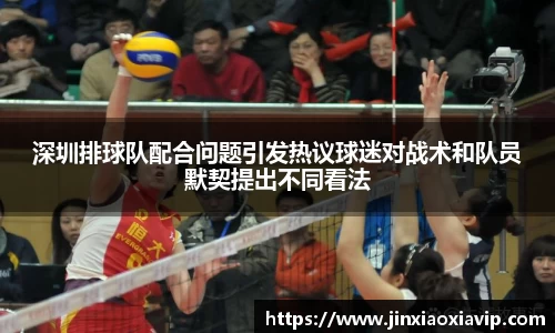 球信网下载