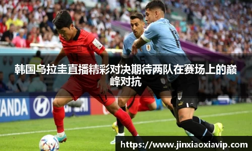 球信网下载