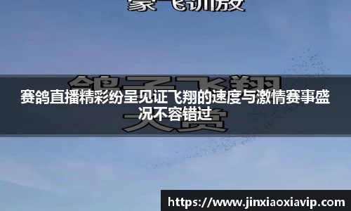 球信网平台