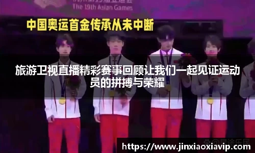 球信网