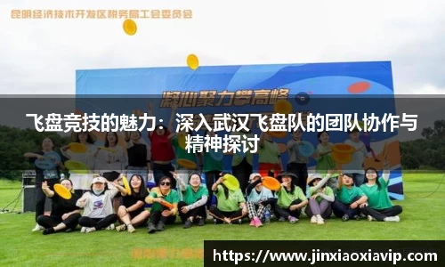 球信网