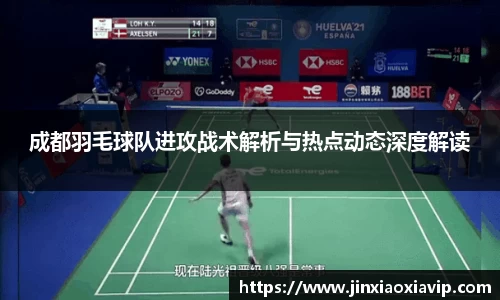 球信网
