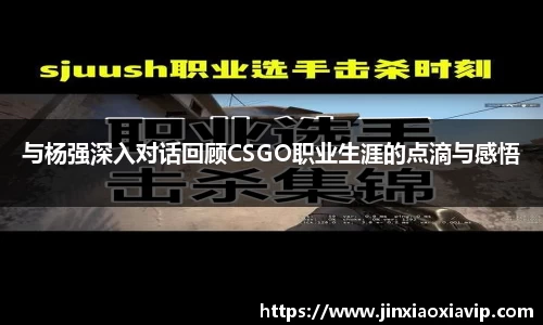 球信网下载
