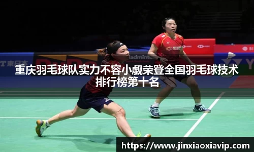 球信网