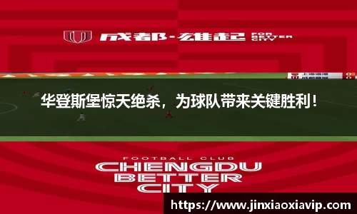 球信网