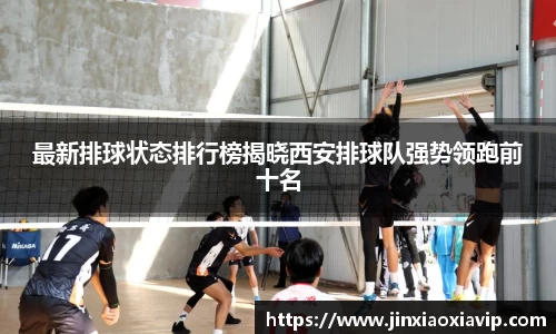 球信网
