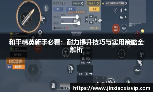 球信网平台