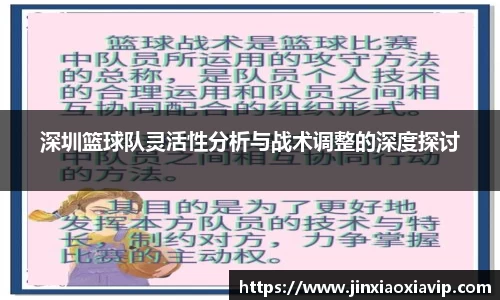 深圳篮球队灵活性分析与战术调整的深度探讨