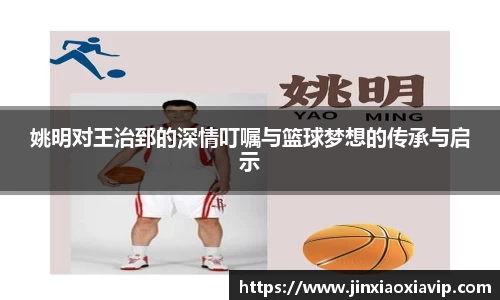 球信网平台