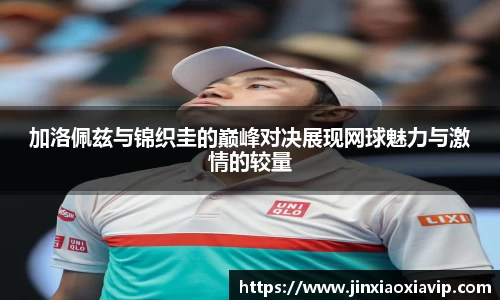 球信网