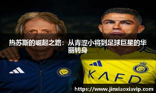 球信网下载