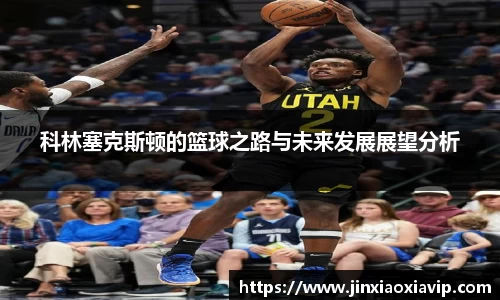 球信网