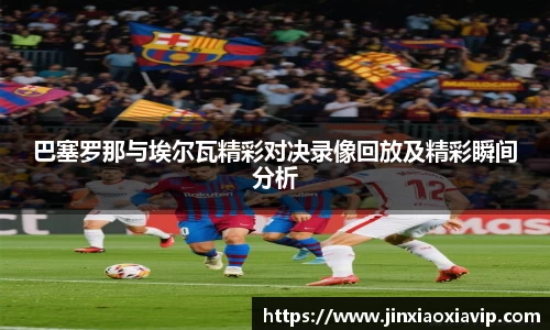 球信网平台