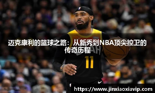 球信网平台