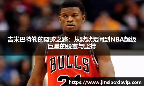 球信网下载